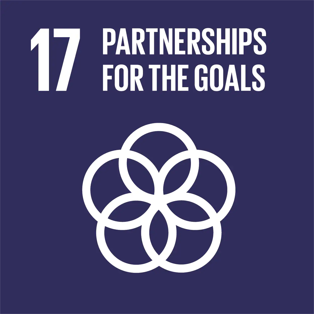 SDG Goal Icon 17