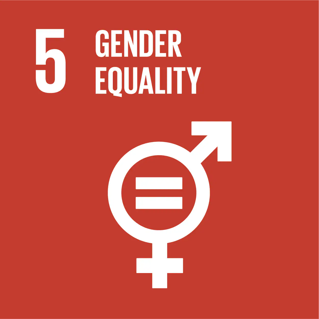 SDG Goal Icon 5