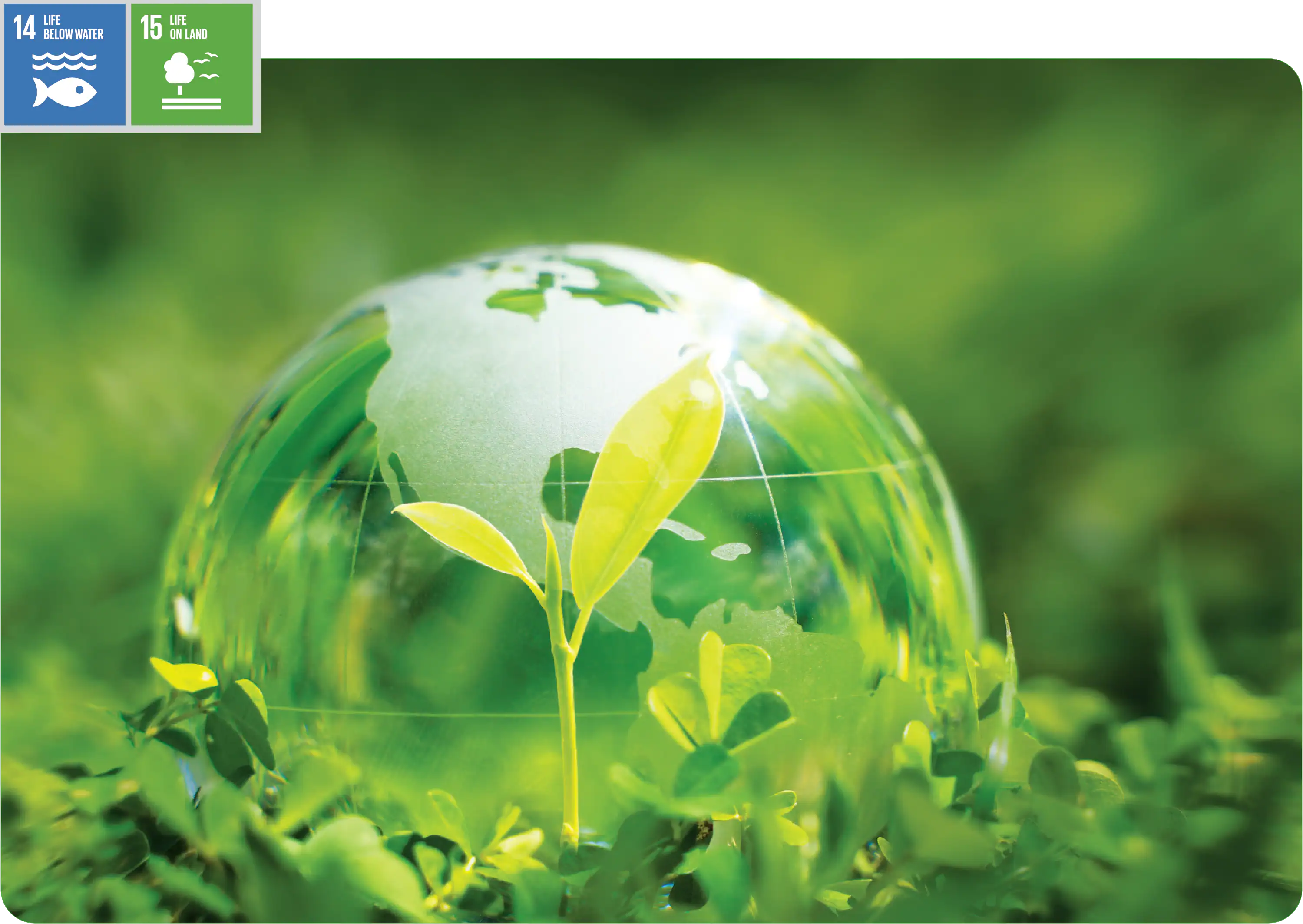 Green earth globe surrounded by small plants and SDG 14 and 15
